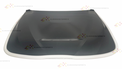 BMW F30 - GTS Style Hood